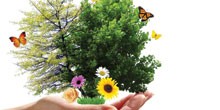 Environment & Sustainability